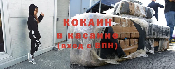 прущие грибы Михайлов